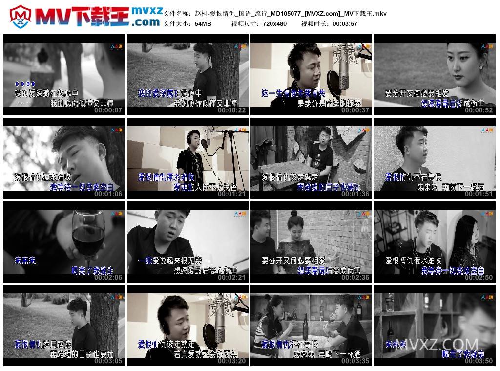 赵桐-爱恨情仇_国语_流行_MD105077